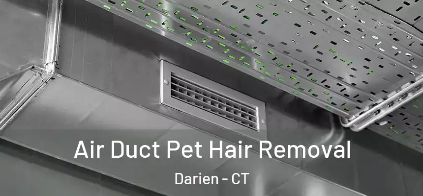 Air Duct Pet Hair Removal Darien - CT