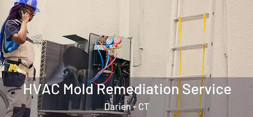 HVAC Mold Remediation Service Darien - CT