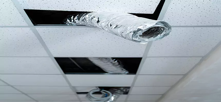 Affordable HVAC Sanitizing After Pest Removal in Darien