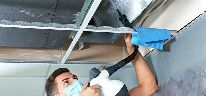 Our Air Duct Rodent Removal Services in Darien, CT
