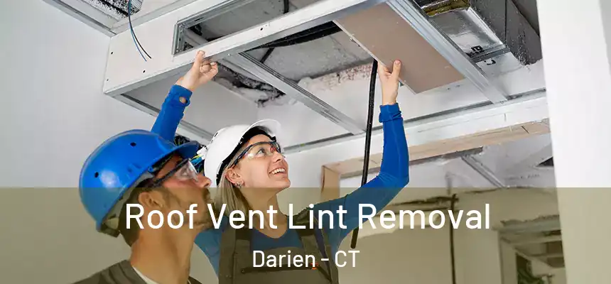 Roof Vent Lint Removal Darien - CT