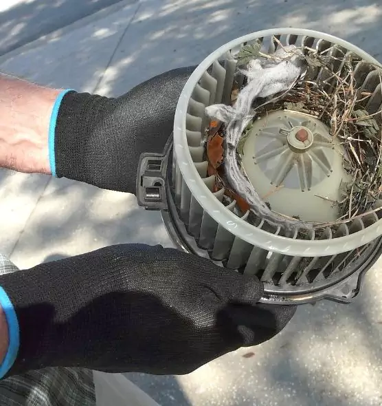 About Air Duct Rat Removal in Darien, CT