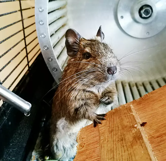 Why Homeowners & Businesses Trust Us Darien, CT